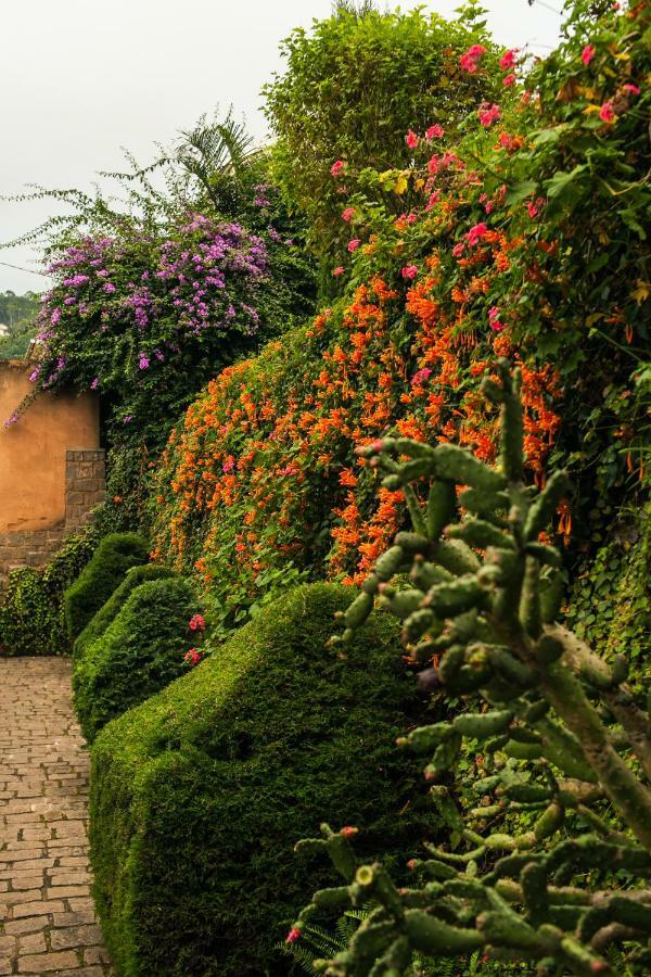 Tsara Guest House فيانارانتسوا المظهر الخارجي الصورة