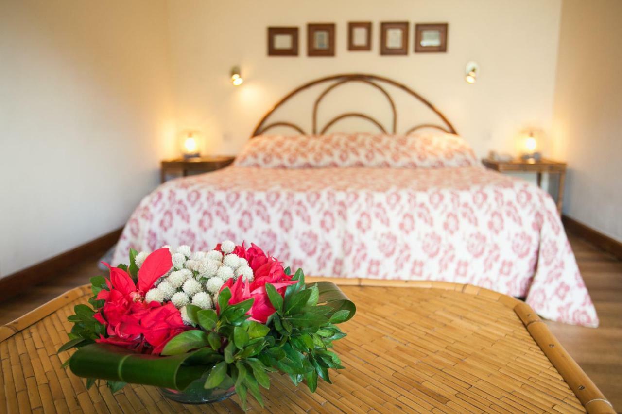 Tsara Guest House فيانارانتسوا المظهر الخارجي الصورة